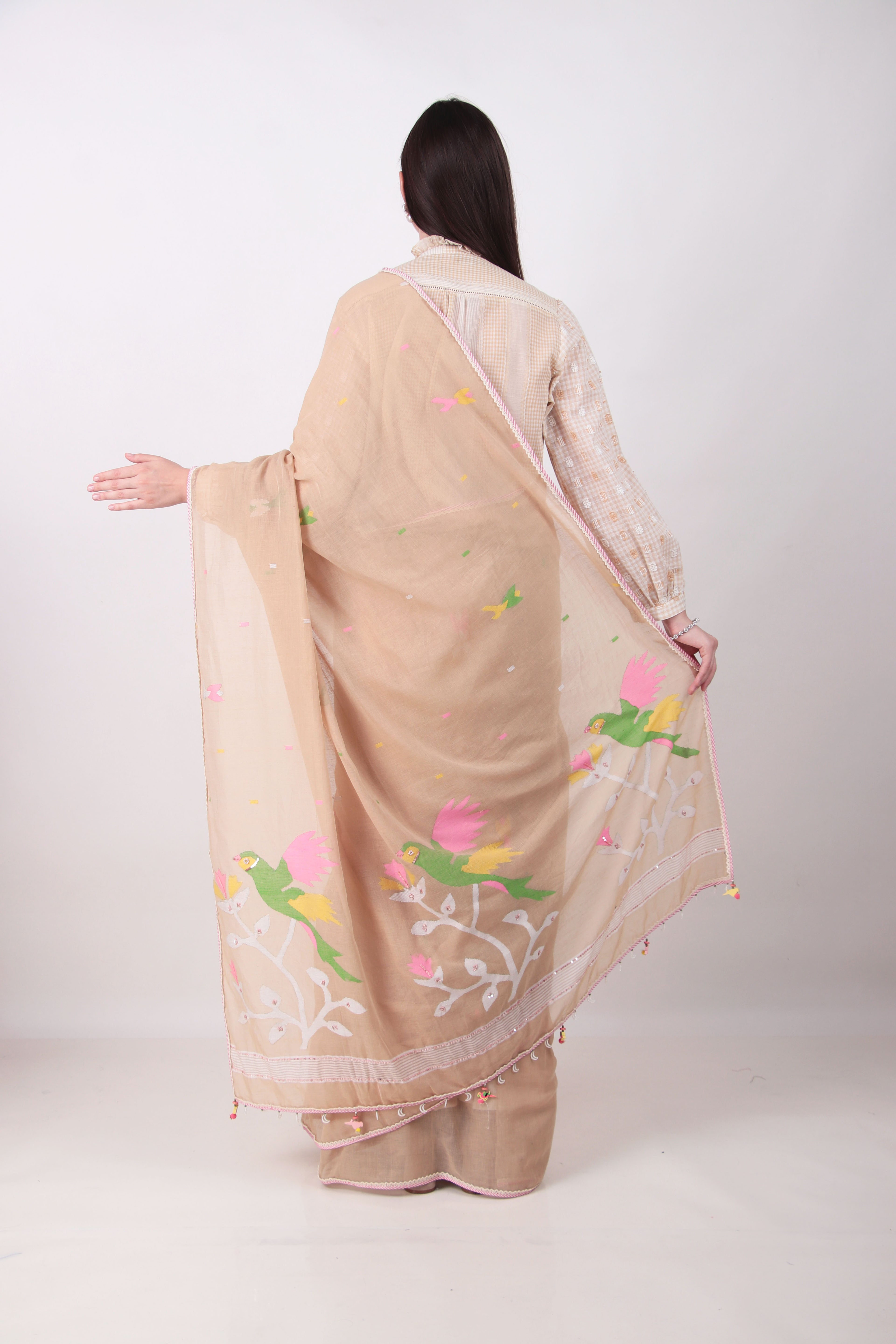 VASUDHA- BEIGE Saree