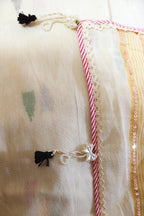 VASUDHA- BEIGE Saree